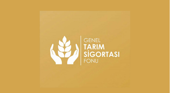 Patates üreticileri için itiraz süresi çarşambaya kadar uzatıldı